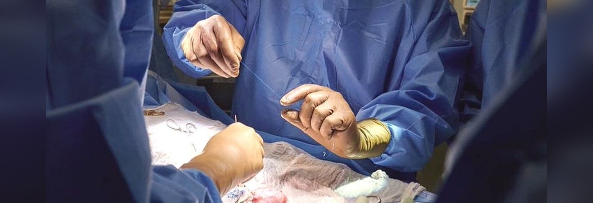جراحان آمریکایی پیوند کلیه خوک را روی انسان آزمایش کردند